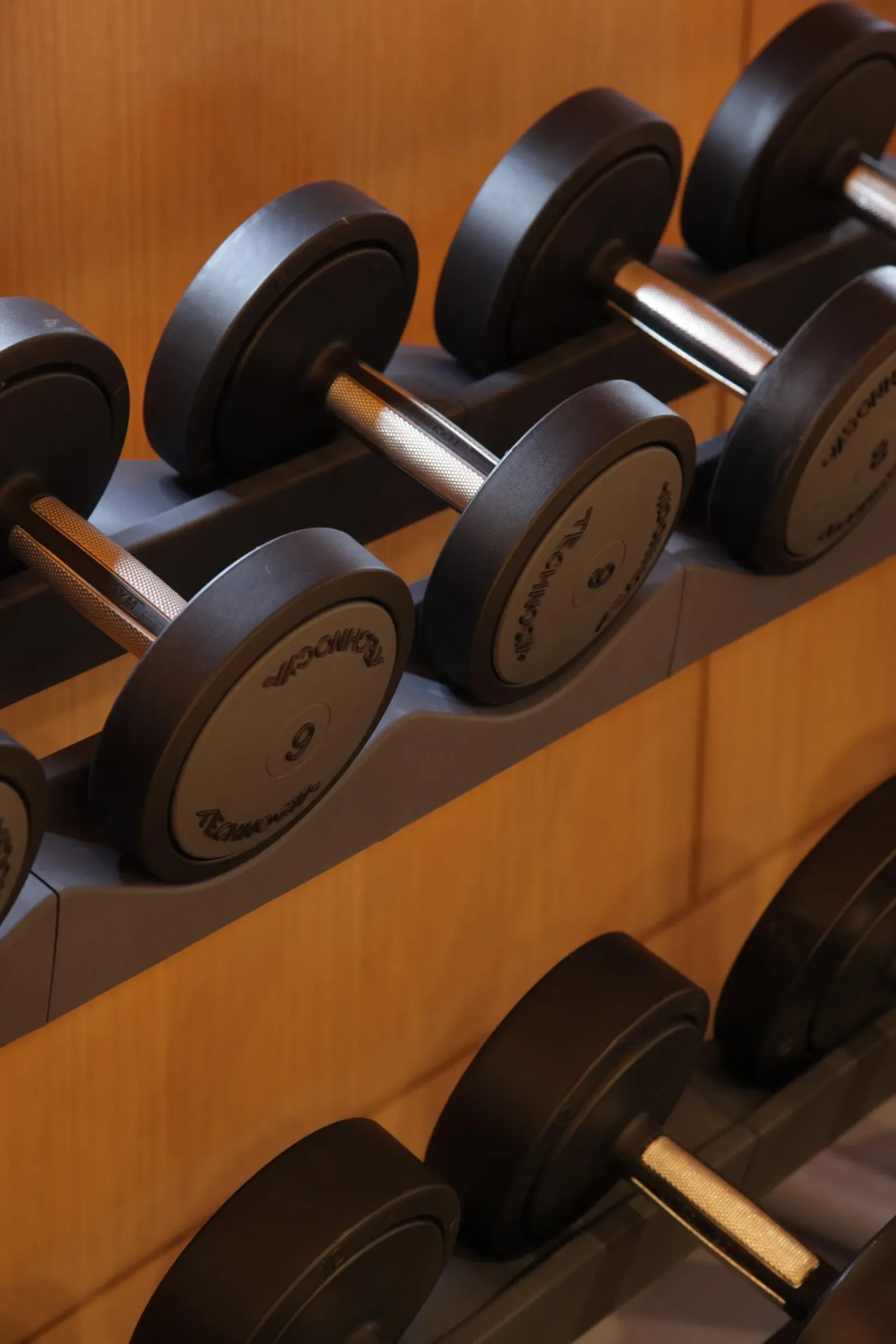 Weights and equipment in the gym