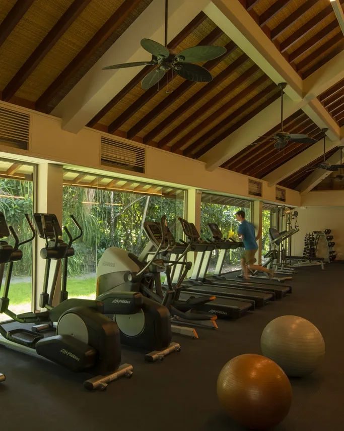 The gym beneath a timber roof, exercise equipment and windows onto greenery