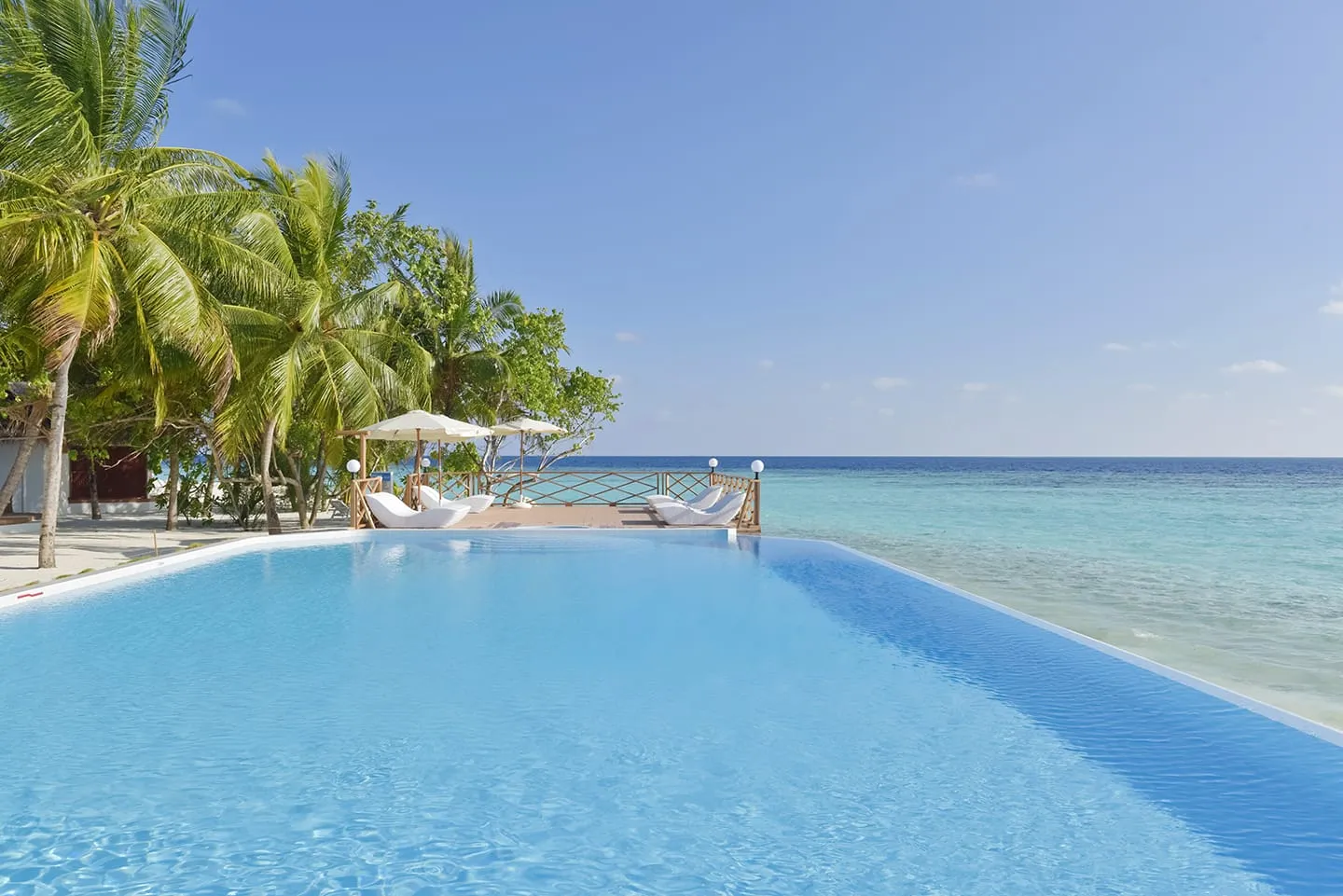 The infinity pool at the island’s edge, with palms on the left and the open sea beyond the rim.