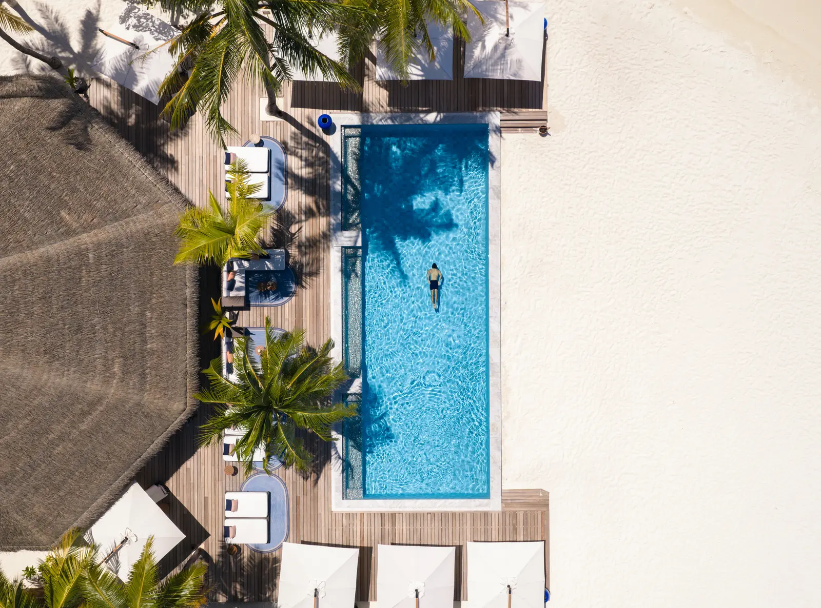 The main pool from above, a swimmer in it, loungers on the decking, palms and the beach beside it.