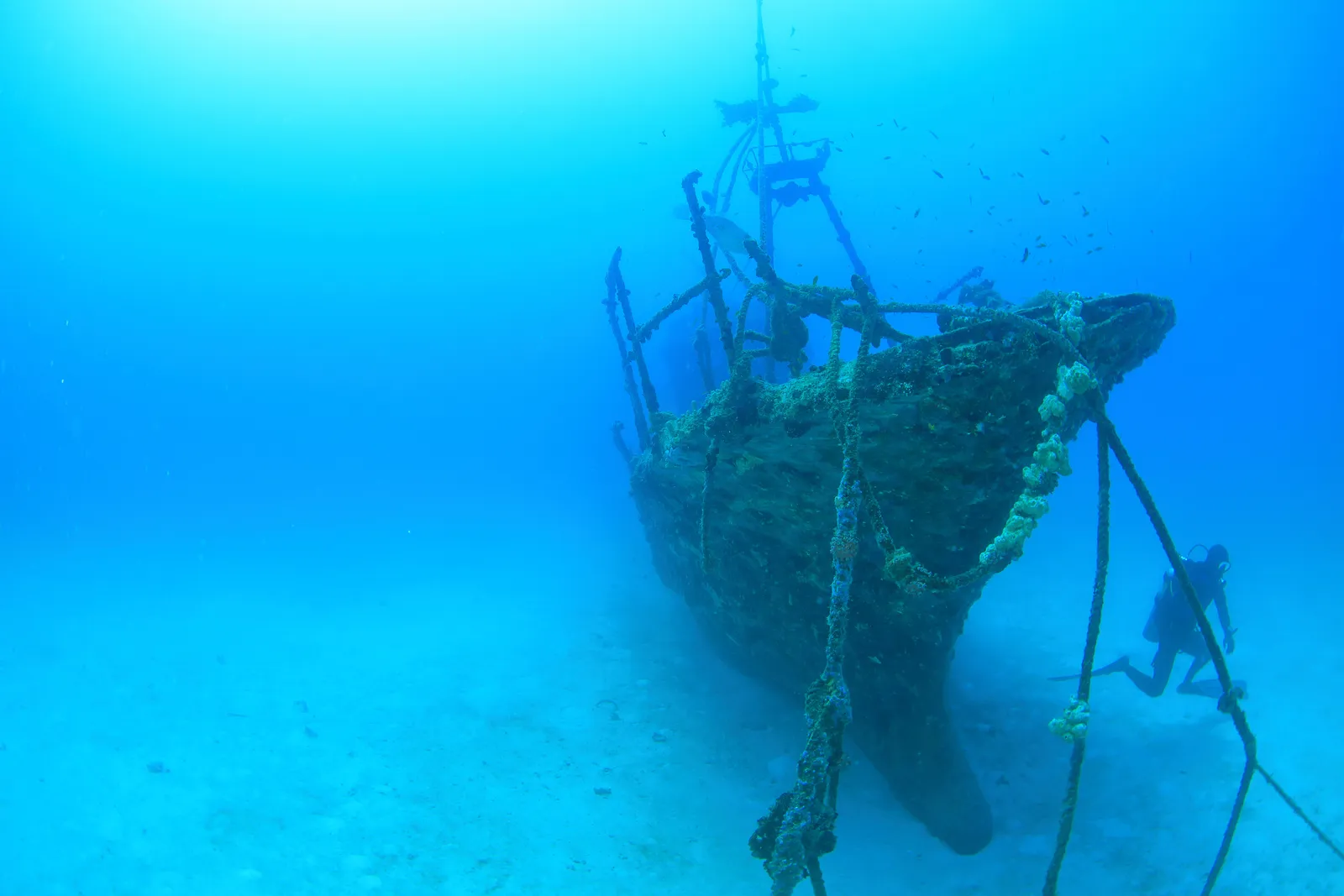 The wreck of the Madige lying on the sand in blue water, covered in coral, with a diver swimming alongside.