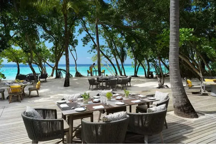 Amaany’s tables on the sand, shaded by trees in front of the lagoon.