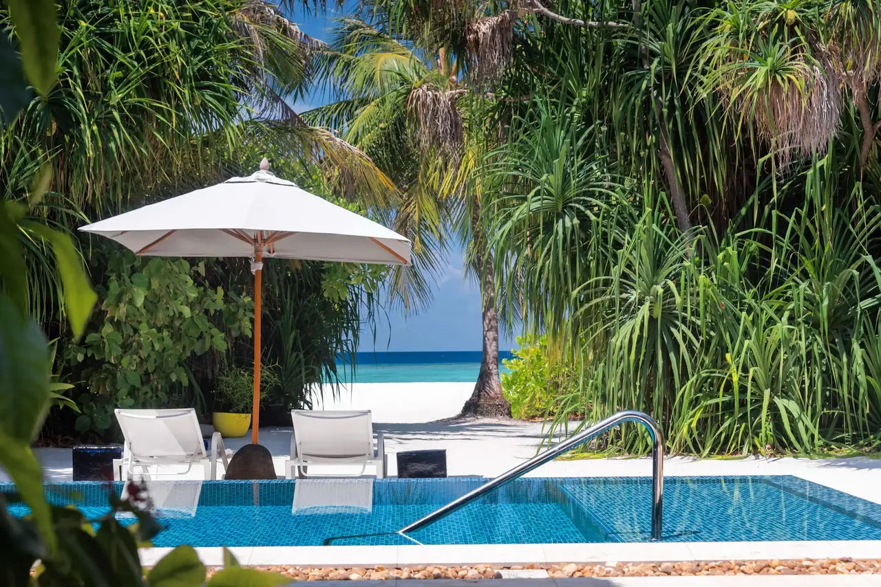 Deluxe Beach Pool Villa: the pool and its parasols among the palms