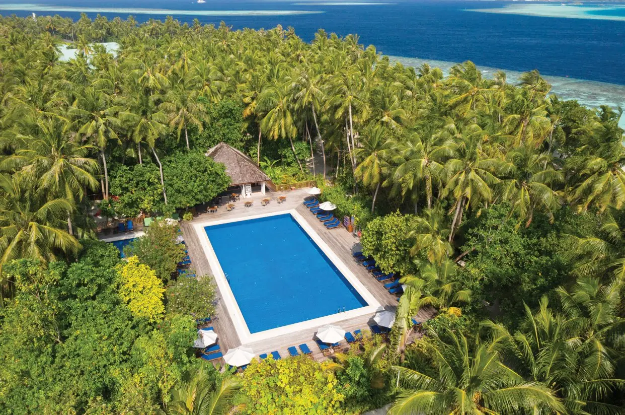 A rectangular pool among the palms from above, with loungers and parasols around it.