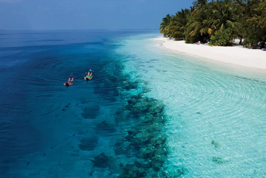 From above, 2 people snorkel along the reef edge, where the pale water off the beach turns blue.