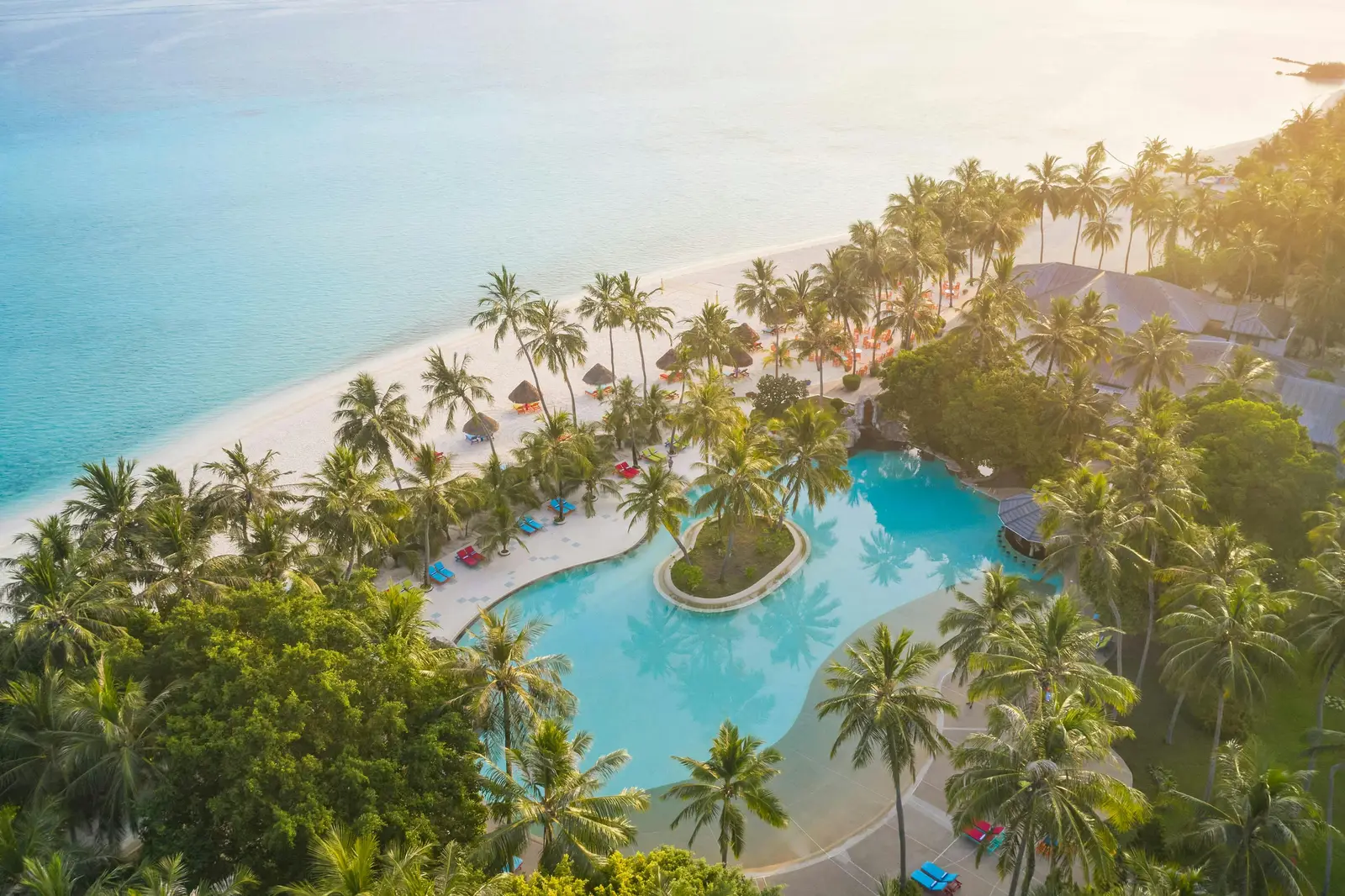 Aerial communal pool surrounded by palms, beach, loungers and swim-up structure.