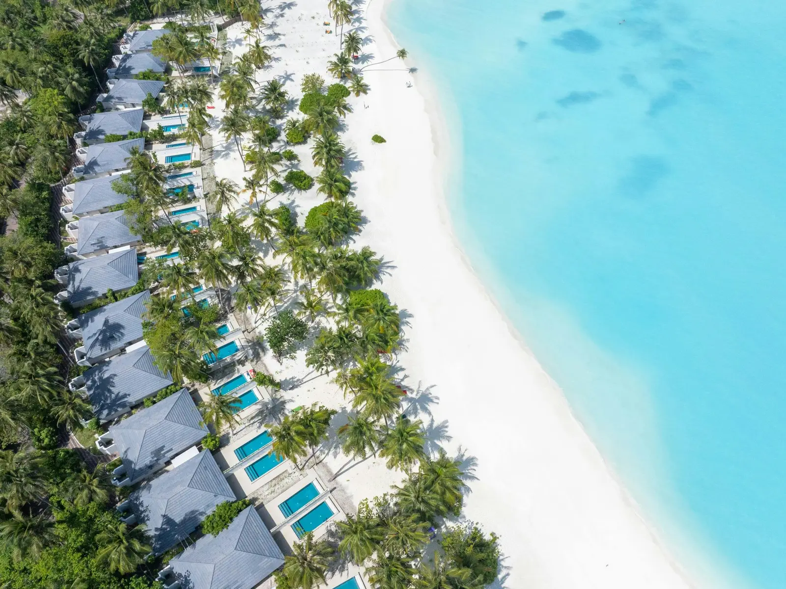 Lagoon Beach Pool Villa — Aerial beach-villa row and visible private pools; no unit count established.