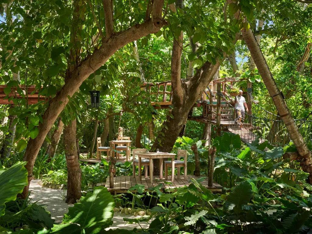 2-level dining platforms and tables in thick vegetation, steps and hanging rope railings.