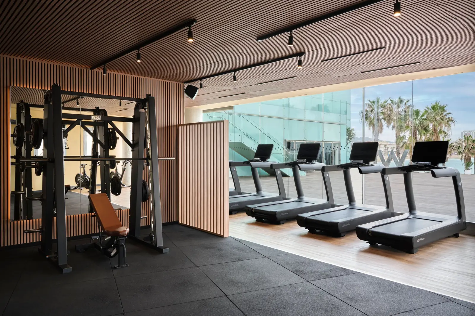 The FIT gym, treadmills facing the glass and the palms