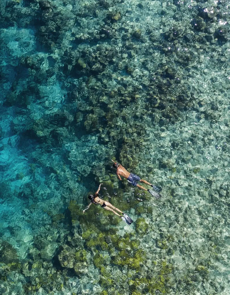 A snorkeller above the reef, seen from above