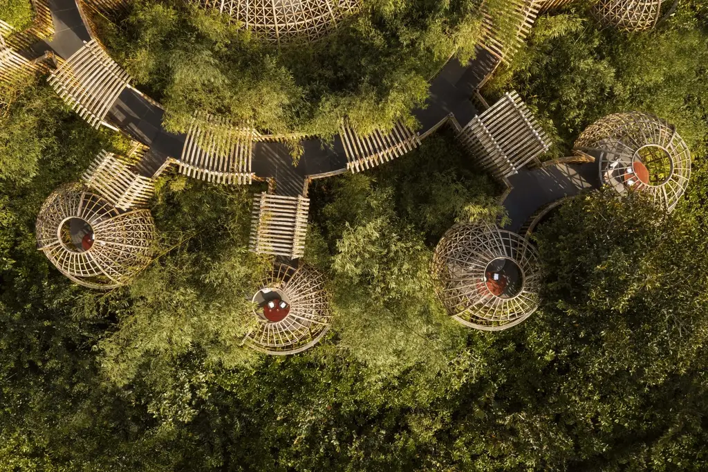 Terra from above: the bamboo nests among the treetops