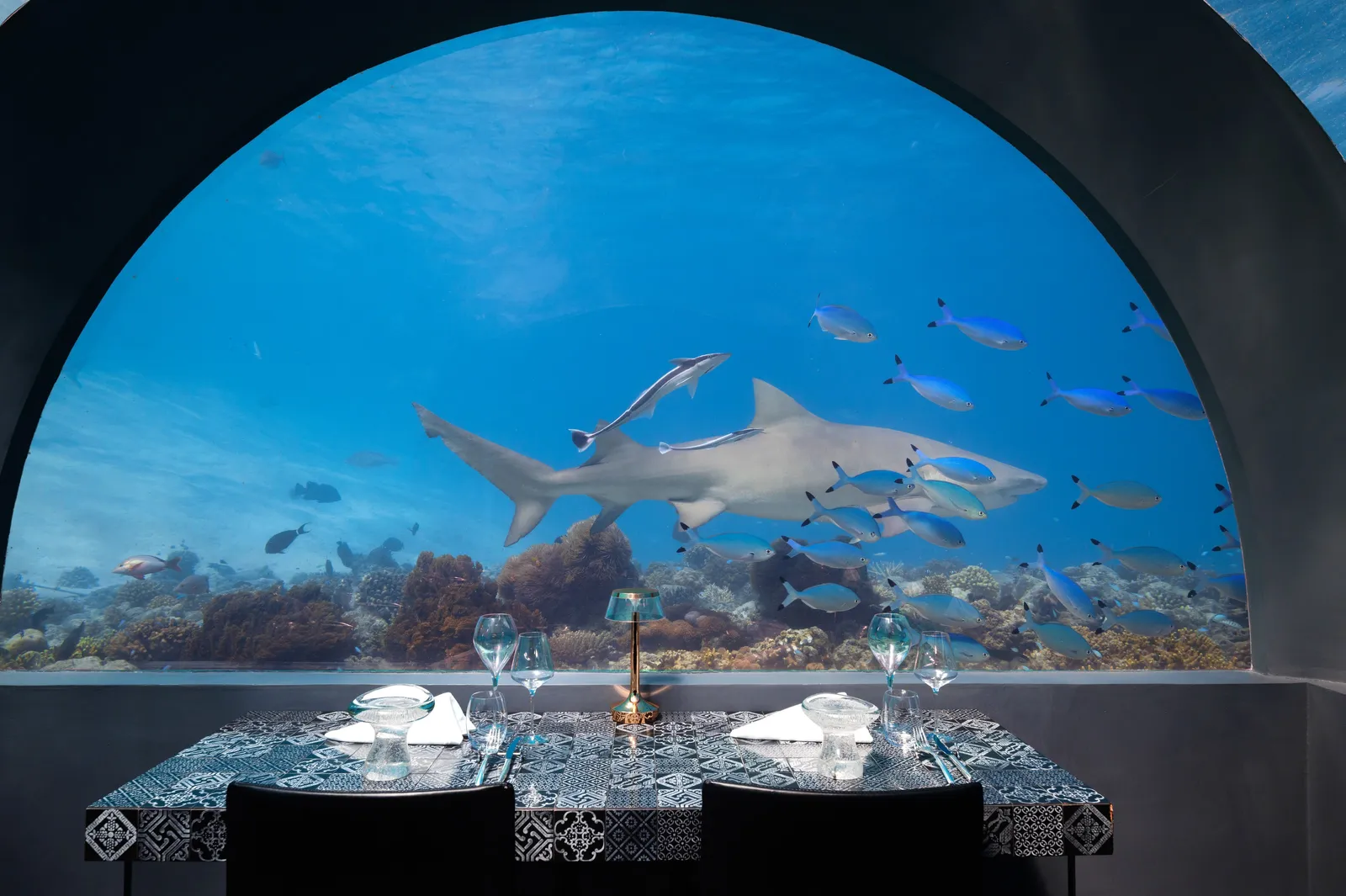 A table laid beneath H2O’s glass dome, a shark and fish beyond
