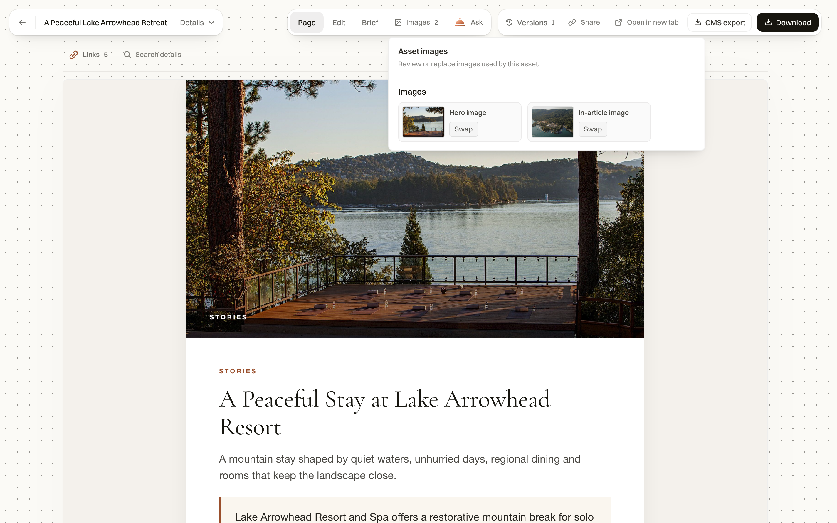 An article preview with controls to review and replace its images
